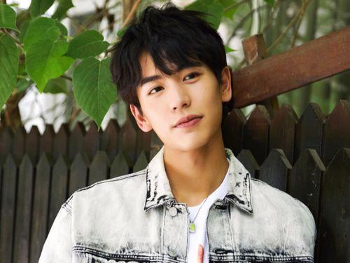 圈内爆料张凌赫赵今麦,幕后故事曝光引热议